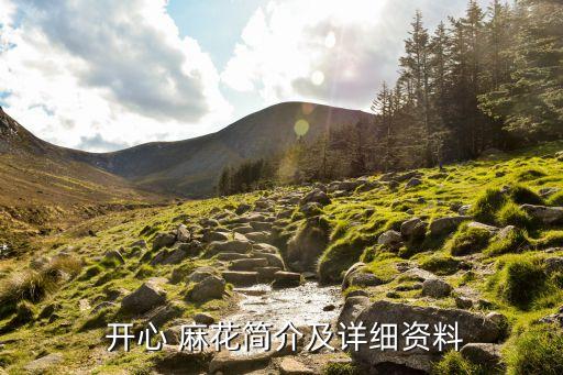  開心 麻花簡介及詳細(xì)資料