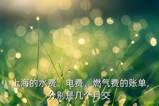  上海的水費、電費、燃氣費的賬單,分別是幾個月交
