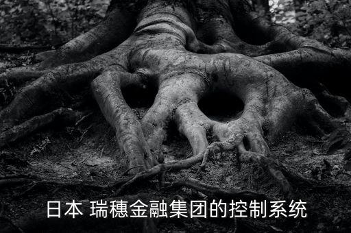 日本 瑞穗金融集團(tuán)的控制系統(tǒng)