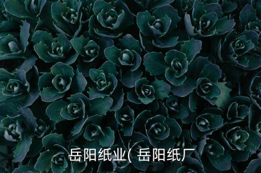  岳陽(yáng)紙業(yè)( 岳陽(yáng)紙廠(chǎng)