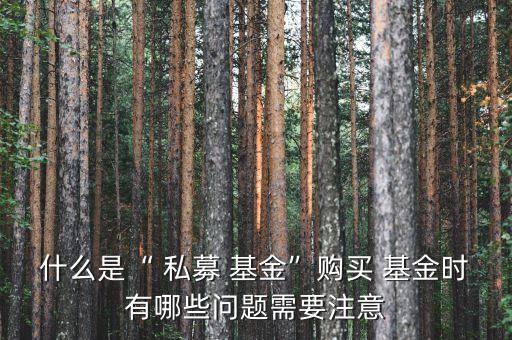 什么是“ 私募 基金”購買 基金時有哪些問題需要注意