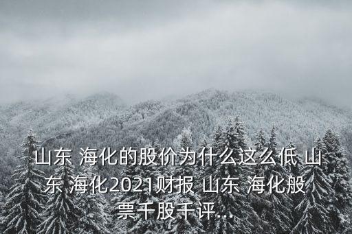 山東 海化的股價為什么這么低 山東 ?；?021財報 山東 ?；闫鼻Ч汕гu...