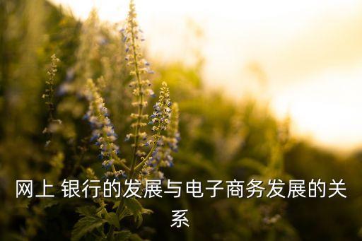 網(wǎng)上 銀行的發(fā)展與電子商務(wù)發(fā)展的關(guān)系