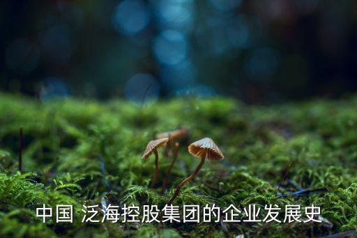 中國 泛海控股集團(tuán)的企業(yè)發(fā)展史