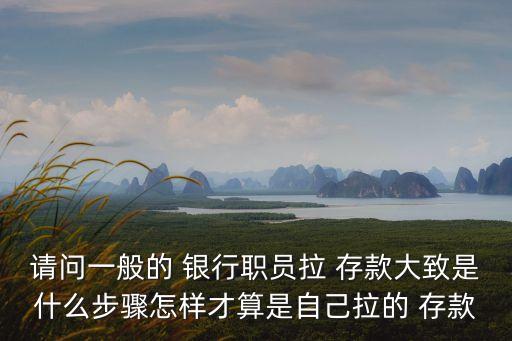 請(qǐng)問(wèn)一般的 銀行職員拉 存款大致是什么步驟怎樣才算是自己拉的 存款