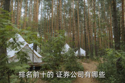 浙商證券有限公司上市計(jì)劃,合眾新能源汽車有限公司上市計(jì)劃