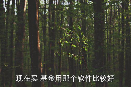 現(xiàn)在買 基金用那個軟件比較好