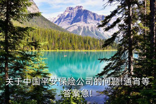 關(guān)于中國(guó)平安保險(xiǎn)公司的問題!通宵等答案急!