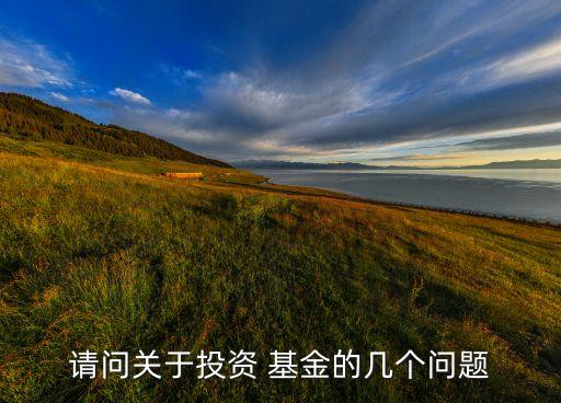 請問關(guān)于投資 基金的幾個問題