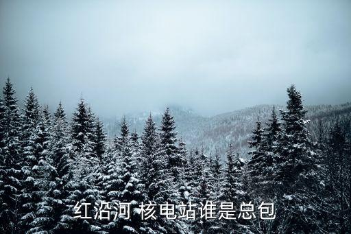 中國(guó)三大核電公司,中國(guó)核電最厲害的公司