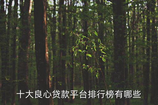 十大良心貸款平臺(tái)排行榜有哪些