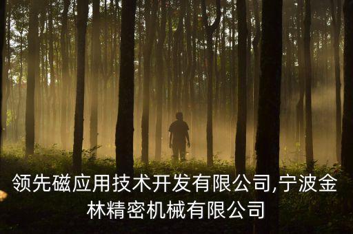 寧波領(lǐng)先磁應(yīng)用技術(shù)開發(fā)有限公司,寧波金林精密機(jī)械有限公司