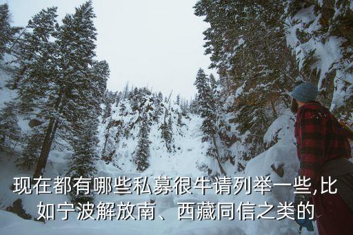 現(xiàn)在都有哪些私募很牛請(qǐng)列舉一些,比如寧波解放南、西藏同信之類(lèi)的