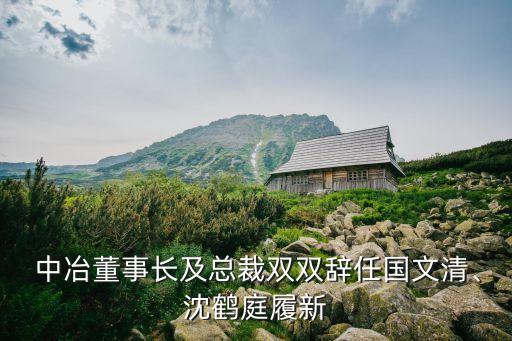  中冶董事長(zhǎng)及總裁雙雙辭任國(guó)文清、沈鶴庭履新