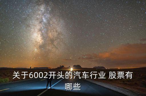 關于6002開頭的汽車行業(yè) 股票有哪些