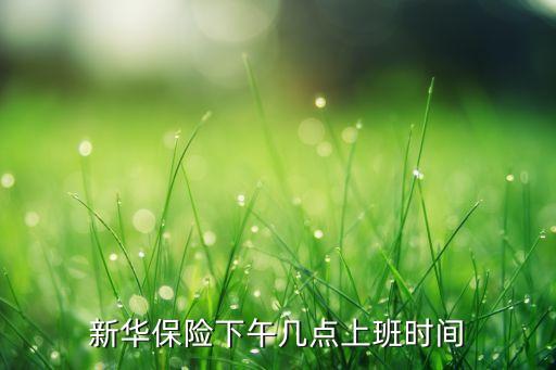 新華保險下午幾點上班時間