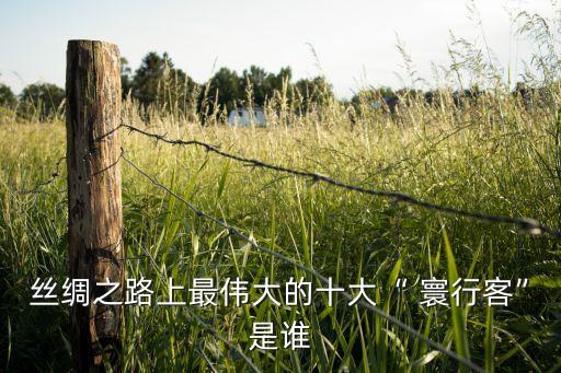 絲綢之路上最偉大的十大“ 寰行客”是誰