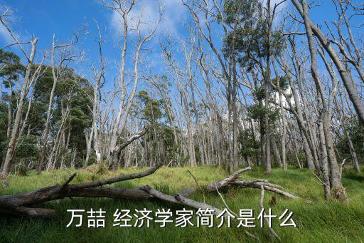 上海經(jīng)濟學家