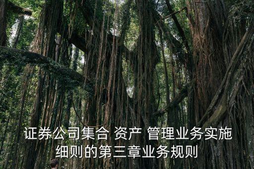  證券公司集合 資產 管理業(yè)務實施細則的第三章業(yè)務規(guī)則