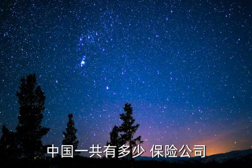 中國一共有多少 保險(xiǎn)公司