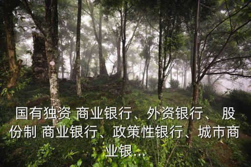 國有獨(dú)資 商業(yè)銀行、外資銀行、 股份制 商業(yè)銀行、政策性銀行、城市商業(yè)銀...