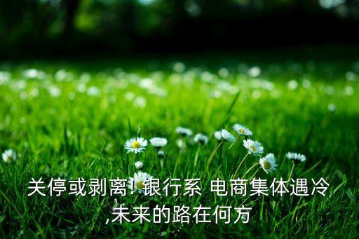 關(guān)?；騽冸x! 銀行系 電商集體遇冷,未來的路在何方