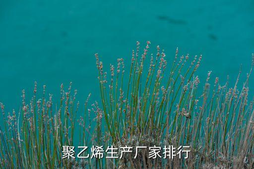 聚乙烯生產(chǎn)廠(chǎng)家排行