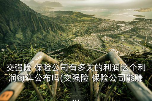交強(qiáng)險(xiǎn) 保險(xiǎn)公司有多大的利潤這個(gè)利潤每年公布嗎(交強(qiáng)險(xiǎn) 保險(xiǎn)公司能賺...