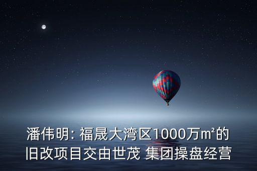 潘偉明: 福晟大灣區(qū)1000萬(wàn)㎡的舊改項(xiàng)目交由世茂 集團(tuán)操盤(pán)經(jīng)營(yíng)