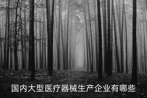 國(guó)內(nèi)大型醫(yī)療器械生產(chǎn)企業(yè)有哪些