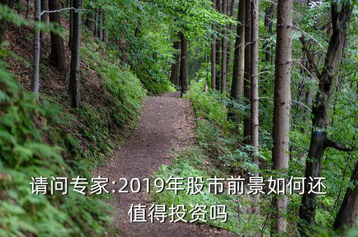 請(qǐng)問(wèn)專家:2019年股市前景如何還值得投資嗎