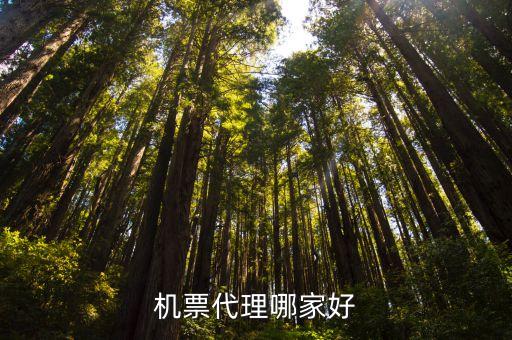 航信股票,中國(guó)航信股票