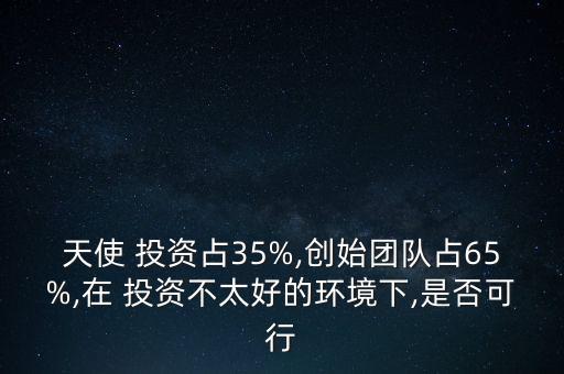 風投公司投資比例