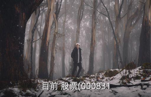 目前 股票(000831