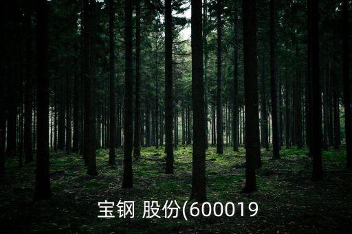  寶鋼 股份(600019