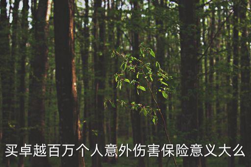 買(mǎi)卓越百萬(wàn)個(gè)人意外傷害保險(xiǎn)意義大么