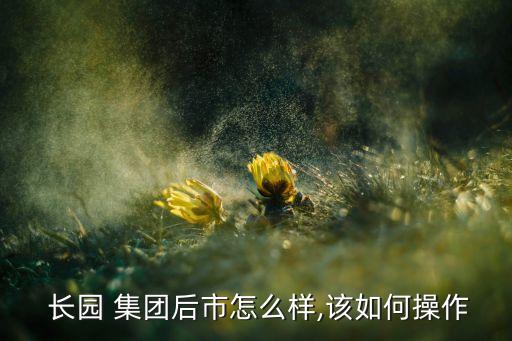 長(zhǎng)園集團(tuán)舉牌價(jià)格,格力為什么要舉牌長(zhǎng)園集團(tuán)