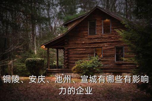 銅陵、安慶、池州、宣城有哪些有影響力的企業(yè)