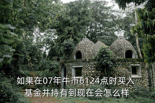 如果在07年牛市6124點(diǎn)時(shí)買入 基金并持有到現(xiàn)在會怎么樣