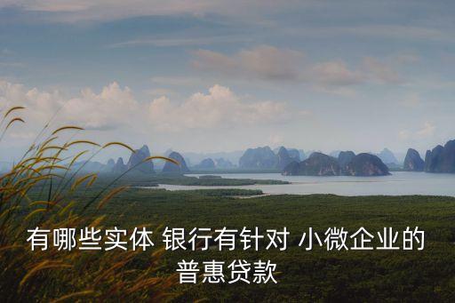 有哪些實體 銀行有針對 小微企業(yè)的普惠貸款