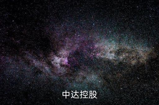 中達(dá)控股