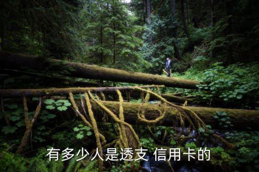 有多少人是透支 信用卡的