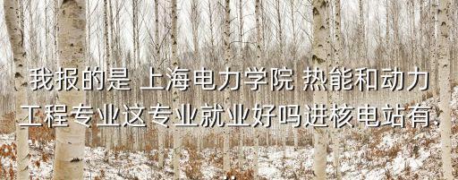 我報的是 上海電力學(xué)院 熱能和動力工程專業(yè)這專業(yè)就業(yè)好嗎進(jìn)核電站有...