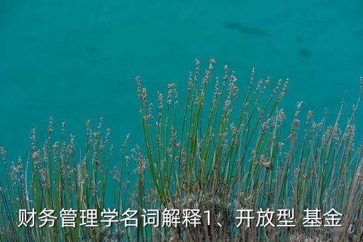 財(cái)務(wù)管理學(xué)名詞解釋1、開放型 基金