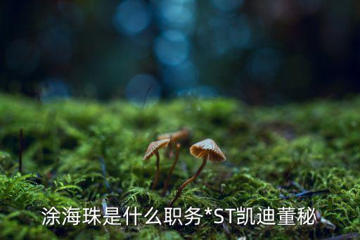 萬(wàn)載縣凱迪綠色能源開發(fā)有限公司,從江凱迪綠色能源開發(fā)有限公司