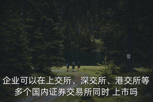 企業(yè)可以在上交所、深交所、港交所等多個(gè)國(guó)內(nèi)證券交易所同時(shí) 上市嗎