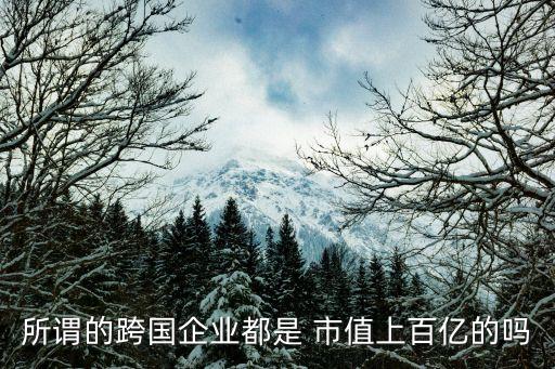 所謂的跨國(guó)企業(yè)都是 市值上百億的嗎