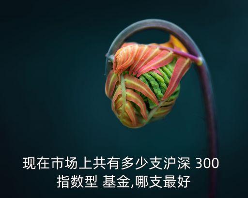 現(xiàn)在市場(chǎng)上共有多少支滬深 300 指數(shù)型 基金,哪支最好