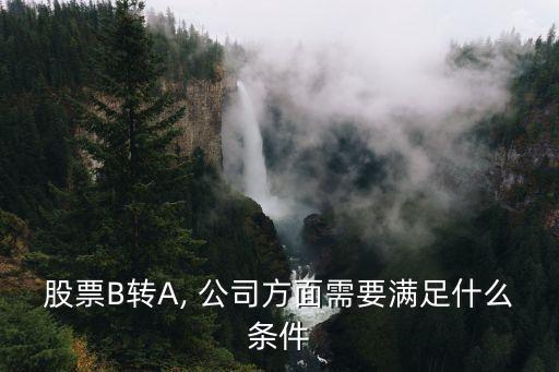 股票B轉(zhuǎn)A, 公司方面需要滿(mǎn)足什么條件