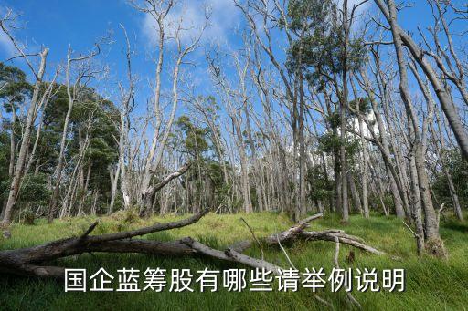 國(guó)企藍(lán)籌股有哪些請(qǐng)舉例說(shuō)明